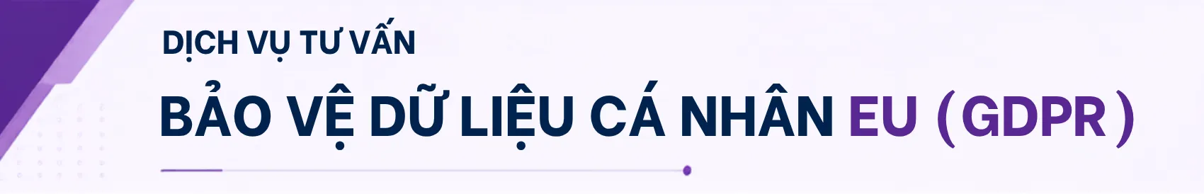 歐盟 GDPR 合規顧問